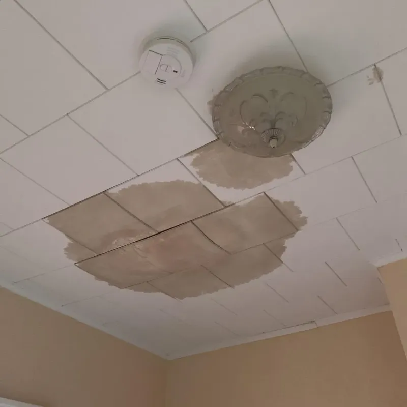 Ceiling Water Damage Repair in Ellsworth, KS