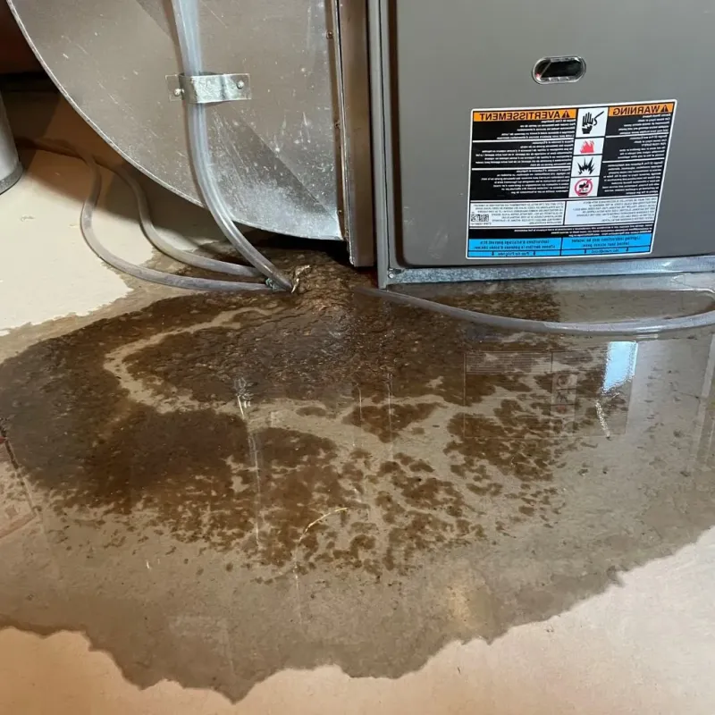Pipe Burst and Leak Restoration in Ellsworth, KS
