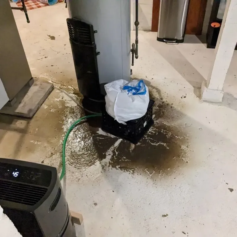 Sewage Backup Cleanup Service in Ellsworth, KS